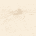 Wooden Wall Tile Codegmcw/driftcrema  (600x1200mm, Wooden Matt)