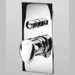 Zinnia Concealed Diverter (chrome)