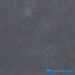 Vitrified Tile RWMTP Pastel Coin (600x1200mm, Glossy)