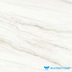 Vitrified Tile RWMTS Calacatta Mont Blanc Punch (600x1200mm, Satin - Soft Matt)